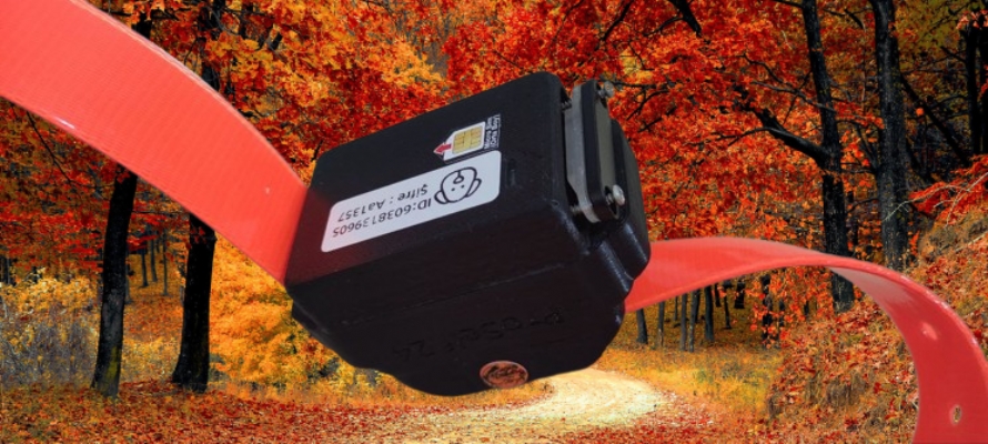 DT-908 GÜÇLÜ BATARYALI BÜYÜKBAŞ HAYVAN TAKİP CİHAZI Hayvan Takip Cihazı